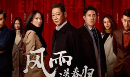 电视剧风雨送春归,时代变迁下的青春奋斗史